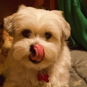 Meet your Posher, Paula